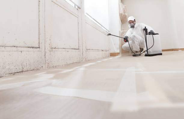 24/7 Emergency Crawl Space Mold Remediation experts in Lewisburg, TN